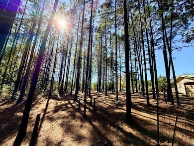 100 Hickory Hill S, Hemphill, TX 75948 - photo 2