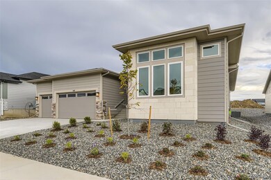641 Bistort Point, Castle Rock, CO 80104 - photo 3