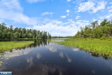 540 Loop Rd, Ely, MN 55731 - photo 3