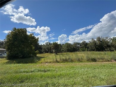 344 Washington Blvd, Lake Placid, FL 33852 - photo 3