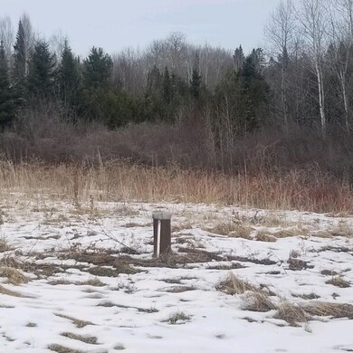 381 Bubar Rd, Blaine, ME 04734 - photo 4