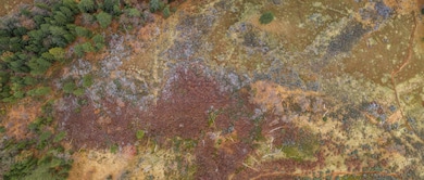 0 Pine Tree Ln unit 225032933, Pollock Pines, CA 95726 - photo 6