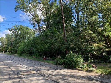 417 Cove Beach Ave, Sheffield Lake, OH 44054 - photo 5