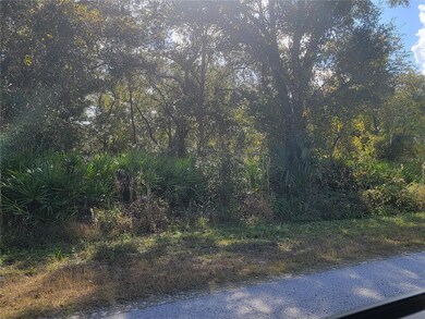 9460 Rousseau St, Ridge Manor, FL 33597 - photo 4