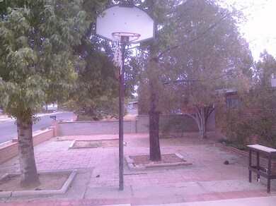 Front Yard