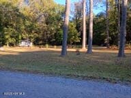 154 Old School House Rd, Blounts Creek, NC 27814 - photo 6