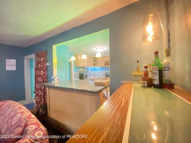 519 N Chestnut St, Lansing, MI 48933 - photo 6