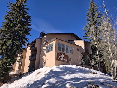 455 Sheol St unit 114/116, Durango, CO 81301 - photo 3