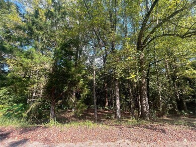 0 Baumhauer Dr, Prichard, AL 36613 - photo 7