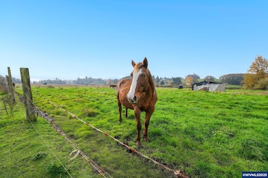 0 Duckflat Rd SE, Turner, OR 97392 - photo 6