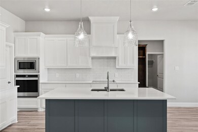 117 Aslan Rd, Poolville, TX 76487 - photo 4