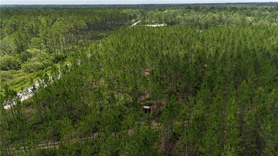 0 Fire Tower Rd, Manor, GA 31550 - photo 5