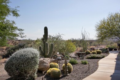 Beautiful desert landscaping