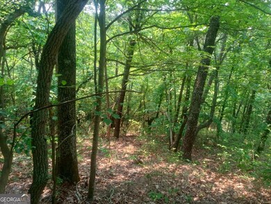 Lt 1227 Hilton Dr unit 1227, Ranger, GA 30734 - photo 3