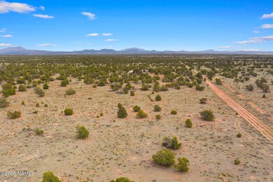50178020d Kaibab Rd, Williams, AZ 86046 - photo 6