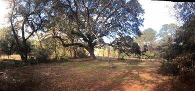 2907 River Rd, Johns Island, SC 29455 - photo 7