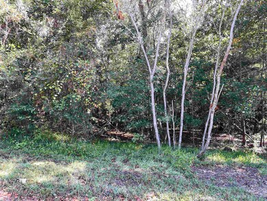 Lot 15 Tharpe Cir, Quincy, FL 32351 - photo 7