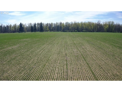 0 SE Upper Island Rd, Dayton, OR 97114 - photo 2
