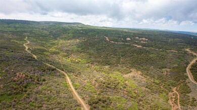 18973 Elk Reserve Rd unit 12, Glade Park, CO 81523 - photo 5