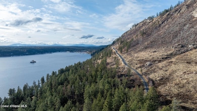From Drone