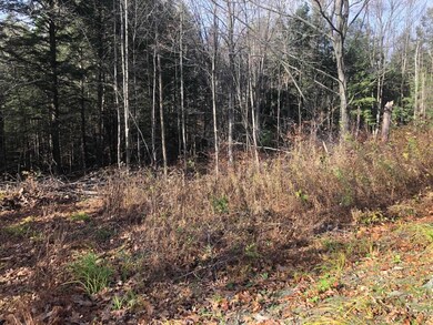 00 Sam Putnam Rd, Charlestown, NH 03603 - photo 3