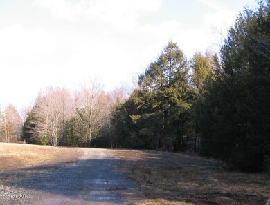 0 Catterson Rd, Lake Ariel, PA 18436 - photo 3