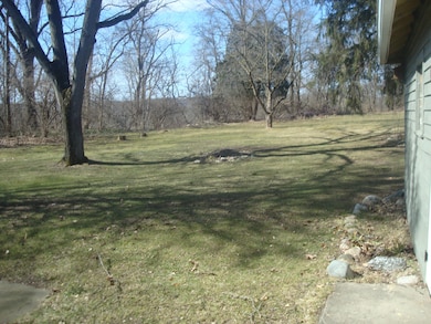 back yard from back porch