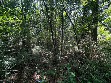 0 Bells Hwy unit 25024655, Walterboro, SC 29488 - photo 4