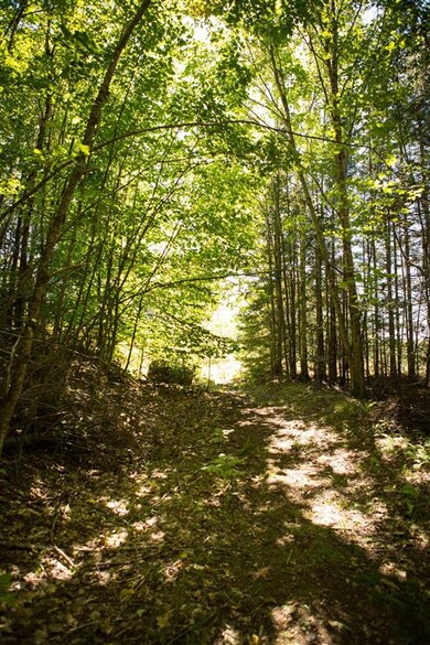 00 Buck Ridge Rd, Lisbon, NH 03585 - photo 7
