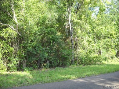 3301 N Page Ave, Hernando, FL 34442 - photo 5