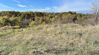 0 Rabbit Goins Ln, Malta Township, OH 43758 - photo 7