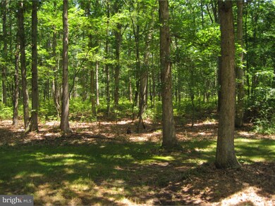 906 Whitehall Rd, Newfield, NJ 08344 - photo 7