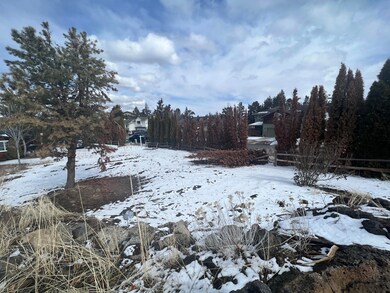 IMG-3908