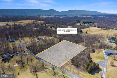 272 Lower View Rd, Strasburg, VA 22657 - photo 4