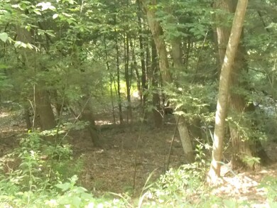 Lot 7 Roaring Brook Rd, Stroud Township, PA 18302 - photo 4