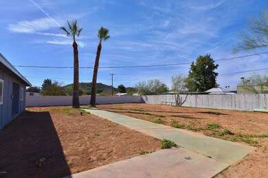 Large Yard