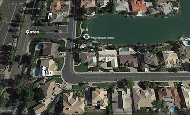 Queen Palm Aerial View