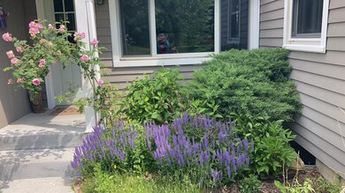 1517 Flower beds