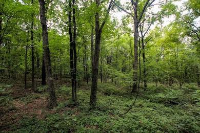 000 Merryman Rd, Formosa Township, AR 72031 - photo 2