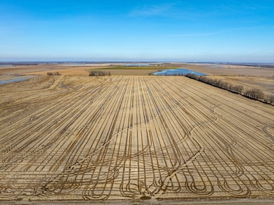 0 County Road 136, Hickory Ridge, AR 72347 - photo 3