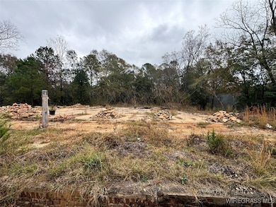 31487 County Road 107, Red Level, AL 36474 - photo 2