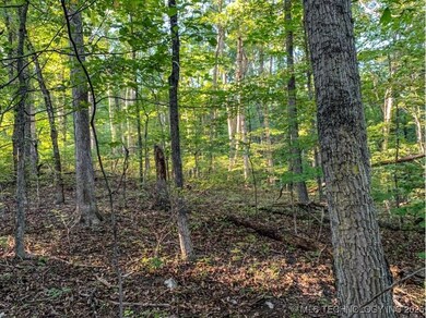 0 Ranch Rd unit 2541667, Gore, OK 74435 - photo 2