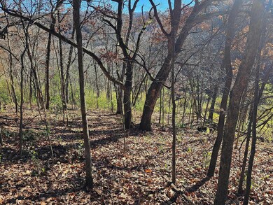 xxxx Braeburn Rd, Wilson Township, MN 55987 - photo 3