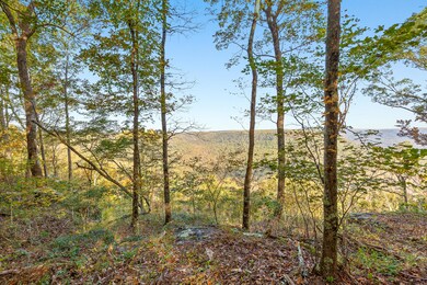 0 High Point Ln unit 1326155, Jasper, TN 37347 - photo 2