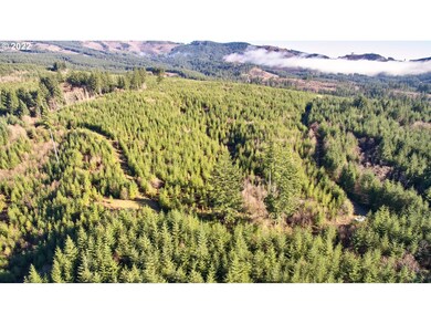 3 NE Jones Creek Rd, Camas, WA 98607 - photo 4