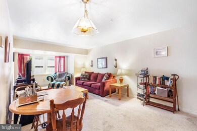 1025 N Madison St unit 101, Wilmington, DE 19801 - photo 4