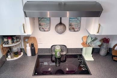 2301 Middleton St, Brooksville, FL 34601 - photo 4