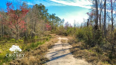 0 Franklin St unit 22865692, Ludowici, GA 31316 - photo 2