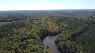 Drifting Dr, Ridgeway, SC 29130 - photo 2