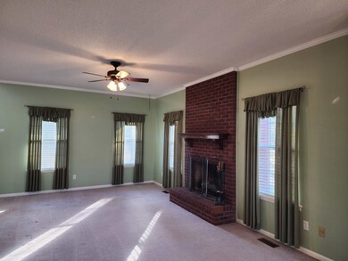 13884 Georgia 93, Baconton, GA 31716 - photo 4